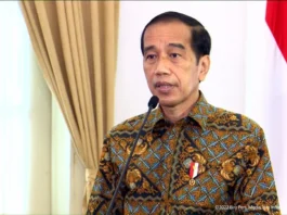 Lindungi Masyarakat Dari Bencana, Ini Pesan Jokowi Kepada Basarnas
