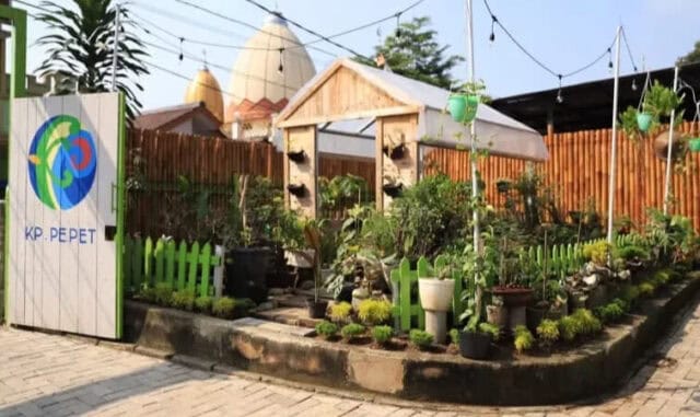 Yuk! Berwisata Sambil Edukasi di Kampung Pepet Urban Farm Cibodas Kota Tangerang Yuk! Berwisata Sambil Edukasi di Kampung Pepet Urban Farm Cibodas Kota Tangerang