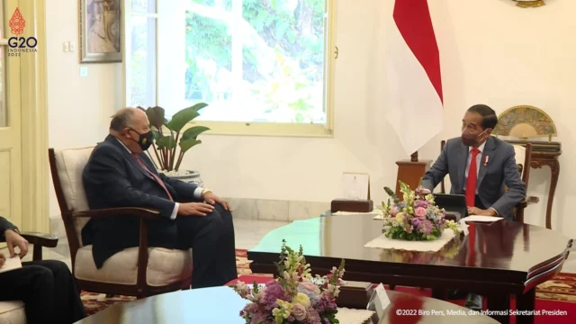 Jokowi Berhasil Jaga Tren Positif Perdagangan RI-Mesir Di Tengah Pandemi