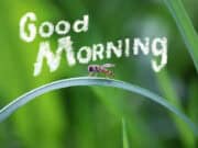 7 Tips menjadi 'Morning Person'