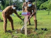Kepala Dinas DLHK, Achmad Taufik saat menanam bibit pohon.