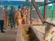 Camat Legok Cucu Abdurrosyied bersama jajarannya saat meninjau lokasi pemotongan hewan.