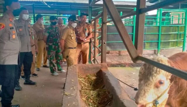 Camat Legok Cucu Abdurrosyied bersama jajarannya saat meninjau lokasi pemotongan hewan.
