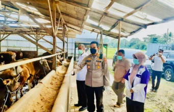 Satuan Tugas PMK saat cek ternak di Kabupaten Pandeglang.