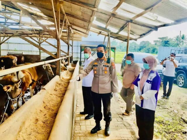 Satuan Tugas PMK saat cek ternak di Kabupaten Pandeglang.