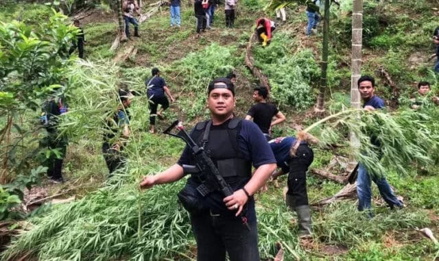 Joss! Buru Tersangka ke Ujung Sumatera, Polda Banten Dapati 3 Hektar Ladang Ganja