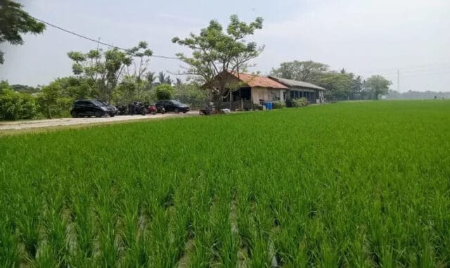 Dilaporkan, Perusak Portal Masuk Padi Padi di Pakuhaji Tangerang Jadi Tersangka