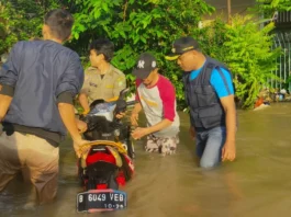 Astaga! Sibuk Pantau Banjir di Wilayahnya, Motor Staf Kelurahan Pinang Malah Hanyut