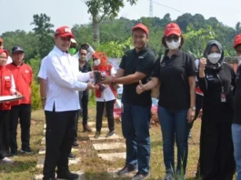 PMI Kabupaten Tangerang gelar menanam bibit pohon di Solear.