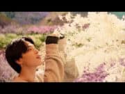 Lirik Lagu Stay Gold BTS dan Terjemahan