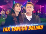 Lirik Lagu Tak Tunggu Balimu - Happy Asmara Feat Denny Caknan