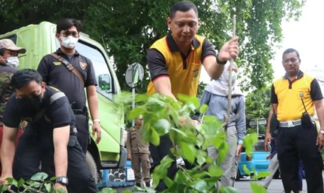 Antisipasi Pohon Tumbang, Ini Yang Dilakukan Polisi Tangerang