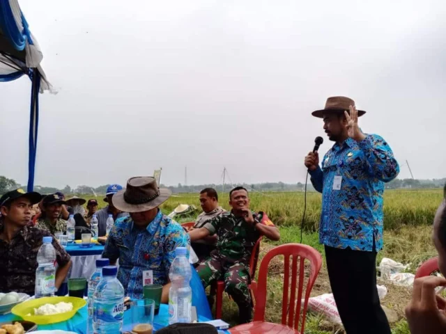 Camat Sindang Jaya, Manfaatkan Dua Hektar Lahan Tidur Akan di Sulap Menjadi Pertanian