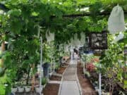 DPKP Kabupaten Tangerang Kunjungi Agrowisata Kampung Sawah