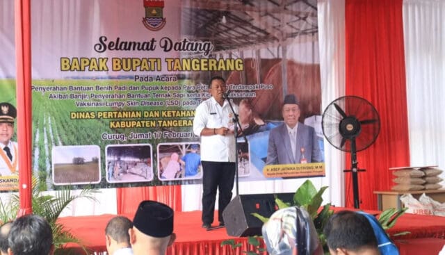 Pemkab Tangerang Serahkan Bantuan Benih Padi Kepada Petani Yang Terdampak Puso