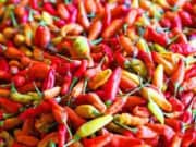 Pedas, Harga Cabai Rawit Merah di Pasar Malingping Lebak Tembus Rp100 Ribu per Kilogram