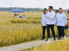 Presiden Jokowi : Minta Badan Pangan Nasional Hitung Harga Gabah Kering Petani Presiden Jokowi : Minta Badan Pangan Nasional Hitung Harga Gabah Kering Petani