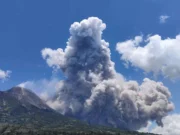 Gunung Merapi Kembali Muntahkan Awan Panas, Warga Berjarak 7 Kilometer Harus Mengungsi