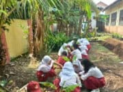 Siswa-Siswi SDN Caringin 2 Tanam Pohon Pisang.