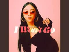 Lirik Lagu I Won’t Go – Vionadia Lirik Lagu I Won't Go - Vionadia