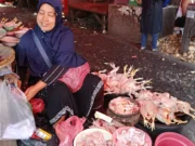 Dikeluhkan Ibu Rumah Tangga, Harga Ayam Potong dan Telur di Kota Tangerang Mahal