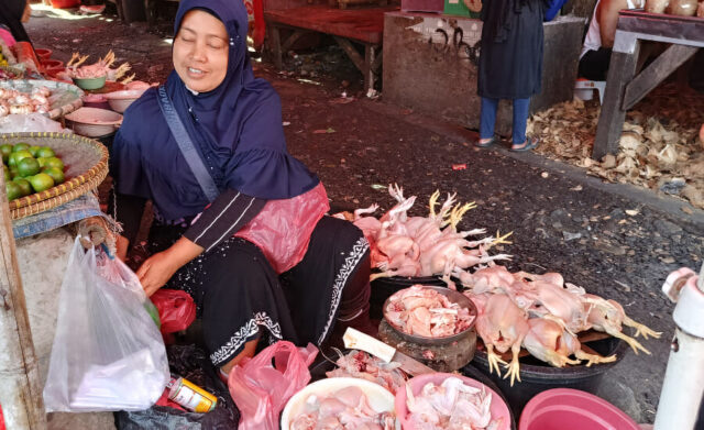 Dikeluhkan Ibu Rumah Tangga, Harga Ayam Potong dan Telur di Kota Tangerang Mahal