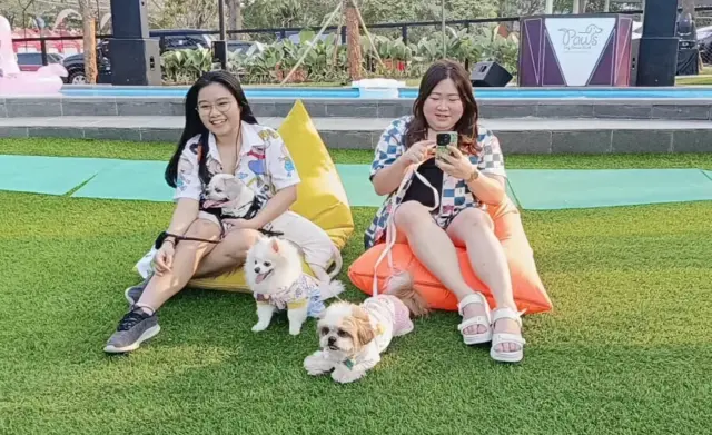 Paws Dog Dream Park Summarecon Mall Serpong: Tempat Bermain dengan Anjing Kesayangan Paws Dog Dream Park Summarecon Mall Serpong: Tempat Bermain dengan Anjing Kesayangan