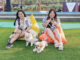 Paws Dog Dream Park Summarecon Mall Serpong: Tempat Bermain dengan Anjing Kesayangan