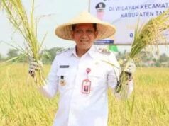 (Pemkab) Tangerang menggelar panen raya padi bersama petani di lahan seluas sekitar 250 hektare di Kecamatan Sukadiri, Foto. (Istimewa)