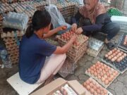 Dinas Pertanian dan Ketahanan Pangan (DPKP) memeriksa bantuan pangan Keluarga Resiko Stunting (KRS) di Gudang Penyimpanan Telur, Foto. (Istimewa)