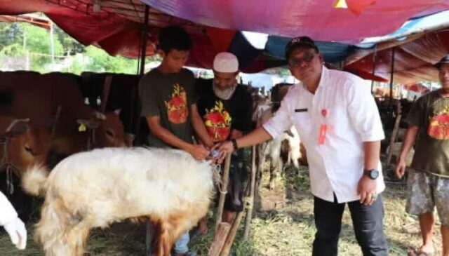 Kepala Dinas Pertanian dan Ketahanan Pangan (DPKP) Kabupaten Tangerang Asep Asep Jatmika Sutrisno, Foto. (Istimewa)