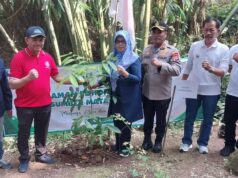 PWI Pandeglang Galakkan Gerakan Tanam Pohon dan Bersih-bersih Sumber Mata Air Ciwasiat PWI Pandeglang Galakan Penanaman Pohon, pada Hari Sabtu, (10/08/2024).