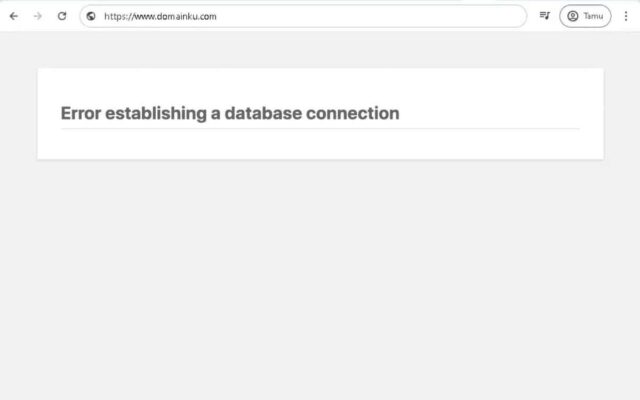 Mengatasi Error Establishing a Database Connection pada WordPress