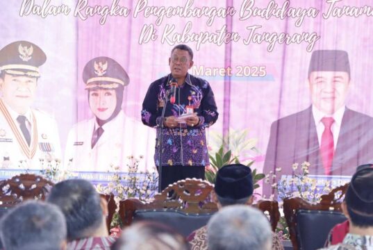 Budidaya Tanaman Herbal Produksi Jahe dan Kunyit, DPKP Siapkan Bantuan Untuk 20 Kelompok Tani Kepala Dinas Pertanian dan Ketahanan Pangan, Asep Jatnika menjelaskan, bantuan ke Poktan Sodong, Foto. (Istimewa)