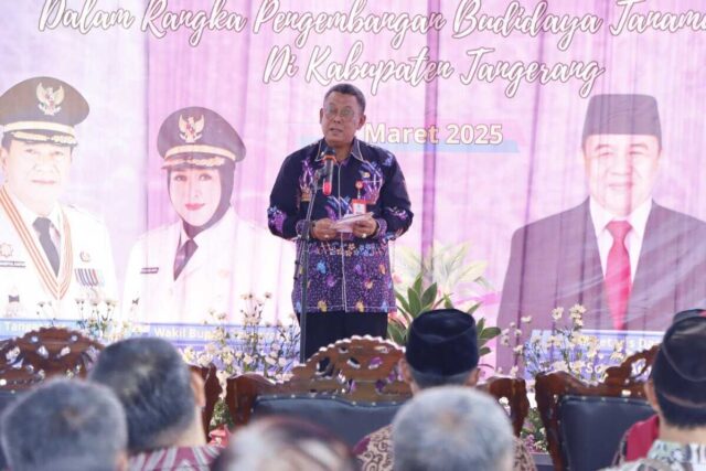Kepala Dinas Pertanian dan Ketahanan Pangan, Asep Jatnika menjelaskan, bantuan ke Poktan Sodong, Foto. (Istimewa)