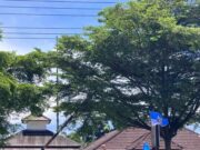 Febi Ketua KNPI PK Malingping saat berdemonstrasi prihal Darurat Narkoba di Lebak Selatan, pada Selasa (08/04/2025).