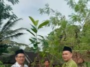 Ketua HIPKA Lebak, Farid Mukti menyerahkan bibit pohon nangka gori pada Ketua Yayasan Daarul Falah Cijaku Ustadz Amin pada Jum'at (18/04/2025).