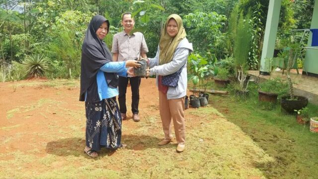 HIPKA Lebak gandeng Penyuluh Pertanian dan Fatayat NU Kecamatan Cijaku tanam pohon nangka gori, pada Selasa (22/04/2025).