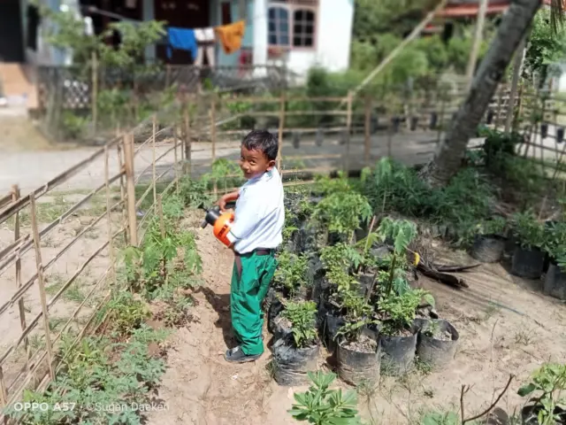 Sahal Farm merupakan gagasan memanfaatkan pekarangan untuk dijadikan ketahanan pangan, Ali Rohmadin Alumni HMI pada Senin (27/10/2025). Sahal Farm merupakan gagasan memanfaatkan pekarangan untuk dijadikan ketahanan pangan, Ali Rohmadin Alumni HMI pada Senin (27/10/2025).