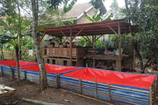 Pokdakan Lanang Agung: Kemandirian Ekonomi dari Lele Pokdakan Lanang Agung Kemandirian Ekonomi dari Lele
