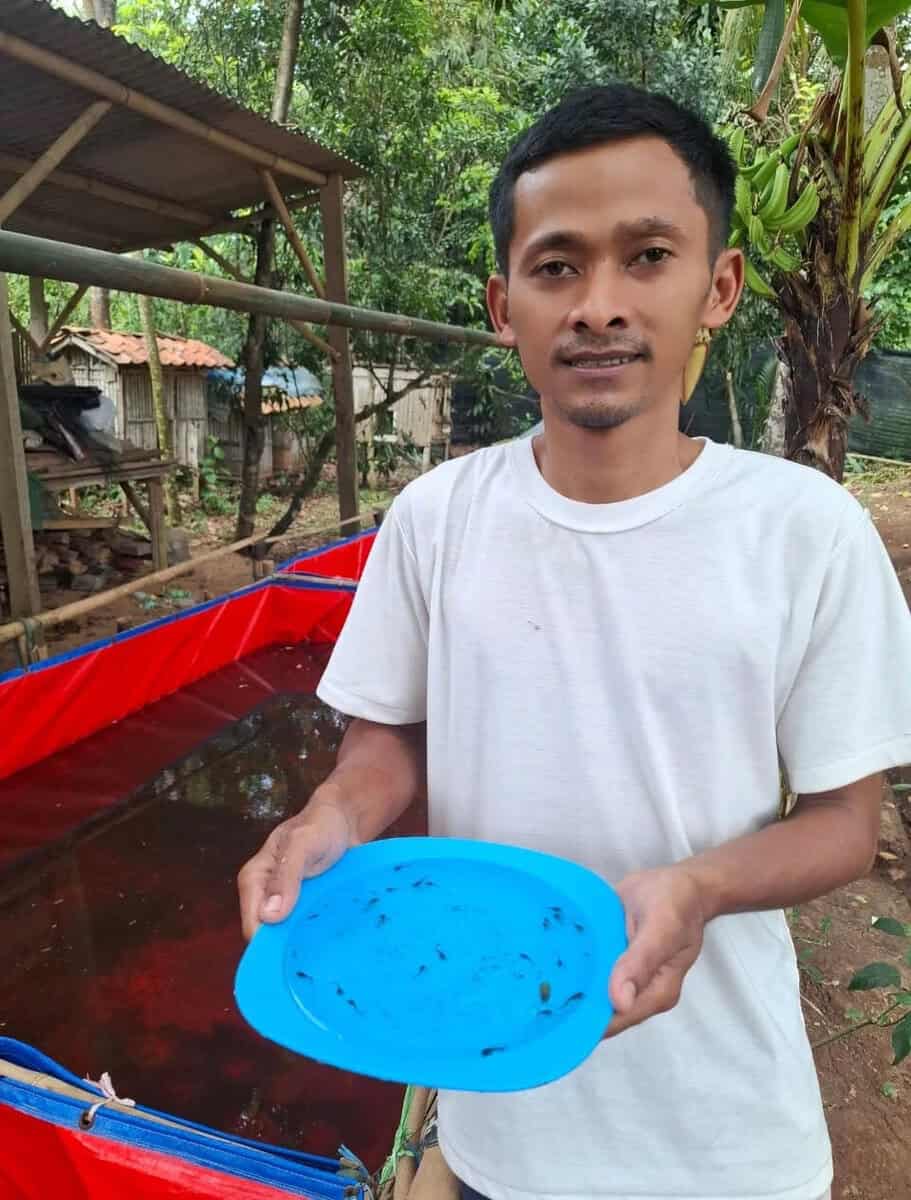 Pokdakan Lanang Agung Kemandirian Ekonomi dari Lele