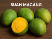 Apa Itu Buah Macang Manfaat, Bahaya dan Cara Mengonsumsinya