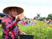 Bupati Tangerang Panen Raya Cabai Ori 212 Bersama Kelompok Tani Berenuk di Kecamatan Legok