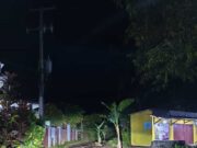 Pohon pisang tumbuh di jalan rusak, Kampung Citeureup, Desa Rahong, Kecamatan Malingping, Kabupaten Lebak, pada Kamis (25/12/2025).