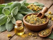 Mullein Leaf Obat Herbal yang Kembali Populer untuk Kesehatan Pernapasan