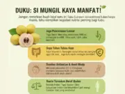 manfaat buah duku