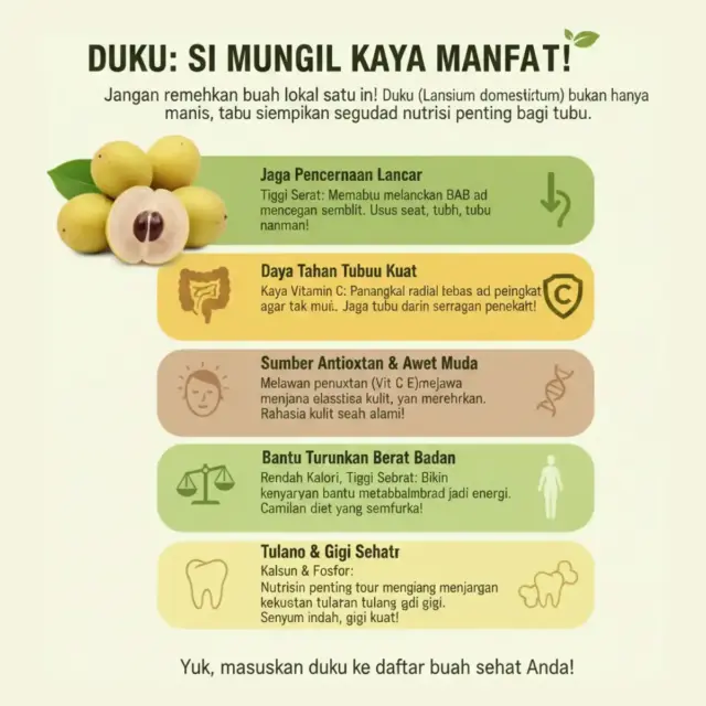 manfaat buah duku