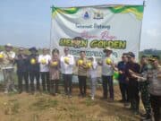 Panen 30 Ton Melon Golden di Kelompok Tani Margawana Mulya, Kecamatan Cileles, Kabupaten Lebak, pada Kamis (14/05/2026).