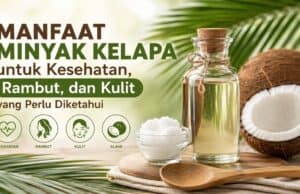 Manfaat Minyak Kelapa dan Cara Menggunakannya dengan Aman