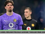 Gregor Kobel menjadi penjaga gawang tangguh milik Dortmund gregor kobel menjadi penjaga gawang tangguh milik dortmund